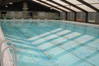 shintomi_pool_open_info_2024.jpg