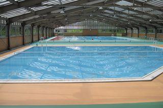 tokiwa_pool_open_info_2024.jpg