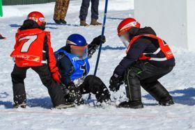yukigassen_dream_info_2023_002.jpg